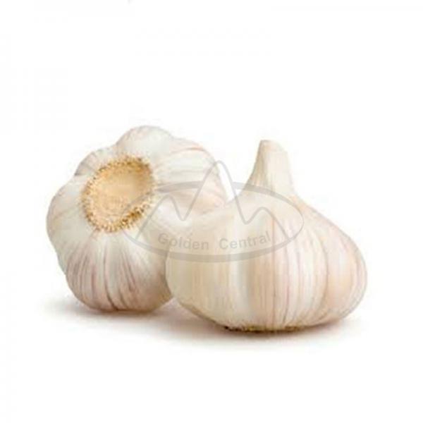 Quality China New Crop Hot Sales Mejor Blanco Puro Natural Fresco Ajo/Garlic for sale