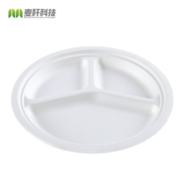Quality 10" Round 3-Compartment natural sugarcane fiber Plate for sale