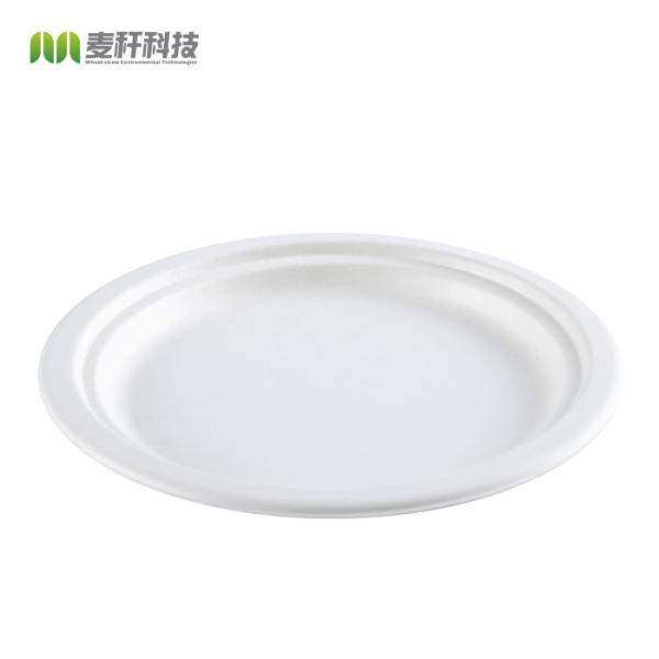 Quality Biodegradable Food Container Bagasse Round Plates for sale