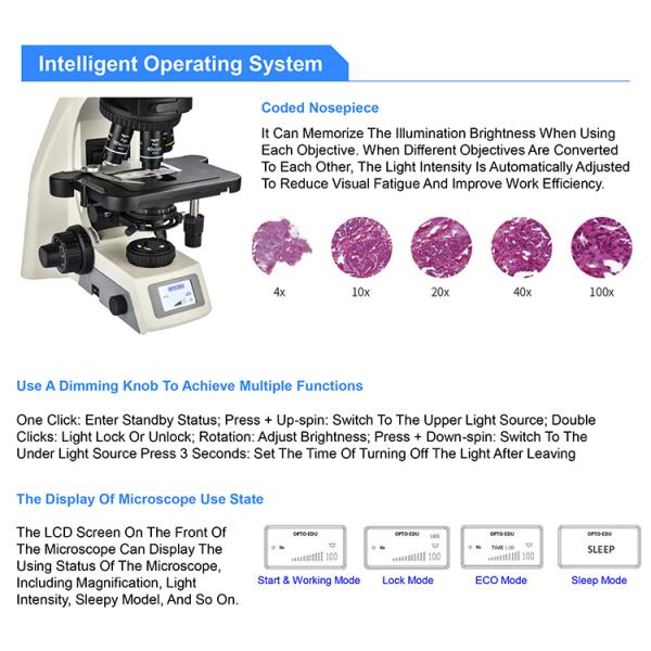 OPTO EDU A16.1062 Infinity Binocular Trinocular Led Fluorescent Microscope BG