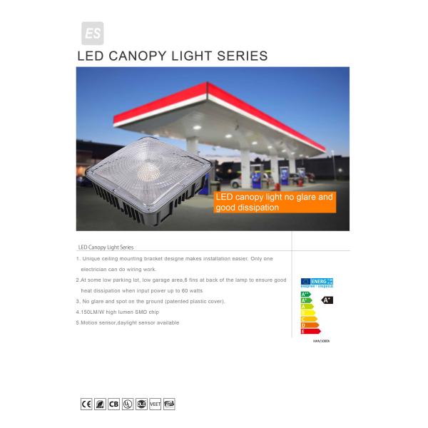 40W - 120W LED Canopy Light