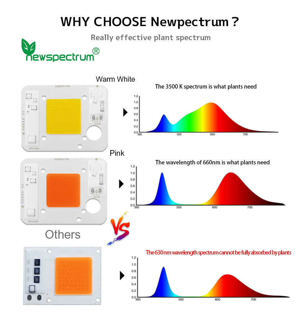 Cold White Led Cob 50w Reliable Consistent Flip Chip Cob Led