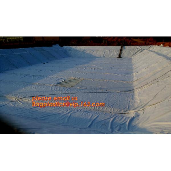 Eco-Friendly Hdpe Geomembrane Liner Geomembrane Price,Eco-Friendly Hdpe Geomembrane Liner Waterproofing Membranes BAGEAS