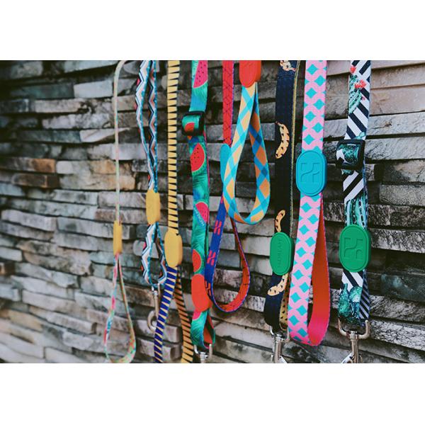 9m 30 Foot Polyester Anti Pull Dog Leash Freedom Reclaimed Material Polyester