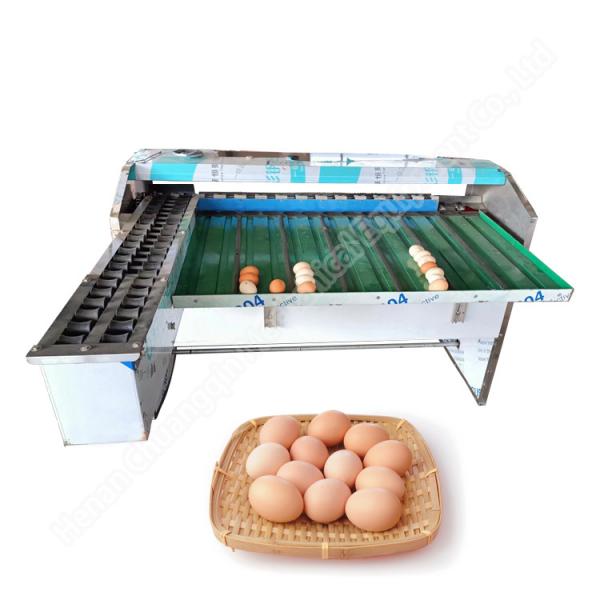 Quality Egg Size Sort Machine Egg Sorter Machine Egg Sorter Egg Classify Machine for sale