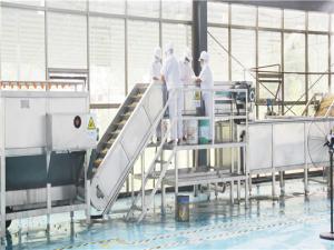 China Fully Automatic Production Line For Carrot Puree And Carrot Juice 1T/H-20T/H wholesale