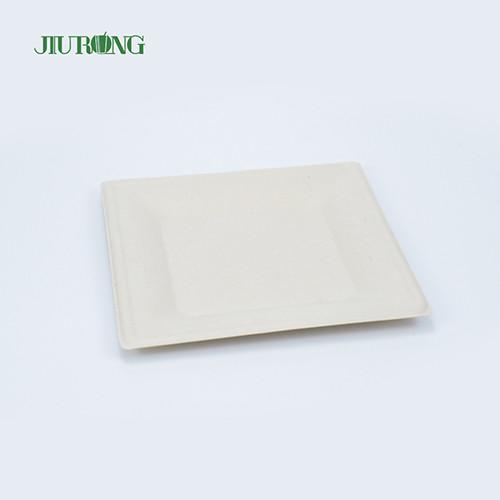 Quality Matt Lamination Sugarcane Food Container White Paper Dinner Plates Jiurong for sale