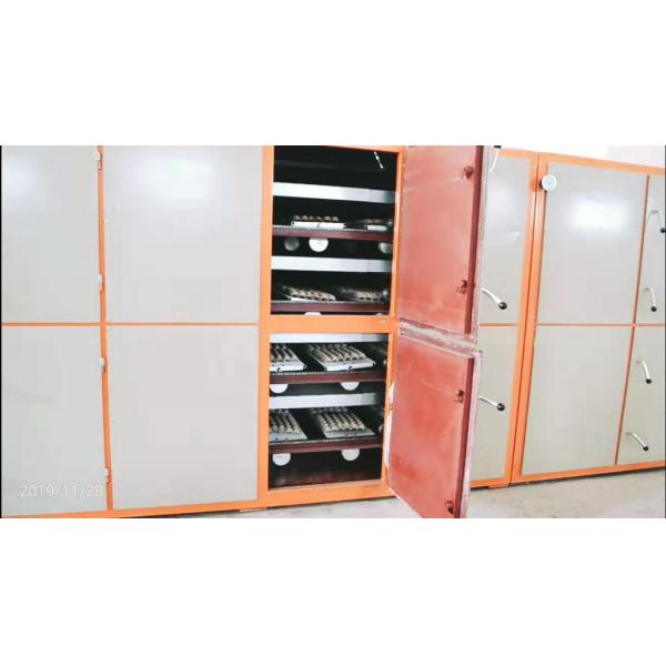 Automatic Small Egg Tray Making Machine With Egg Carton Mold