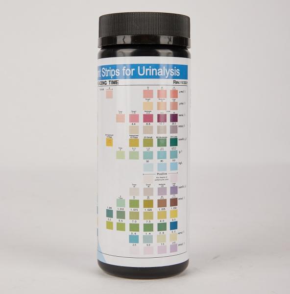 Quality Highly Accurate 14 Parameter Urinalysis Test Strips At Home Use for sale