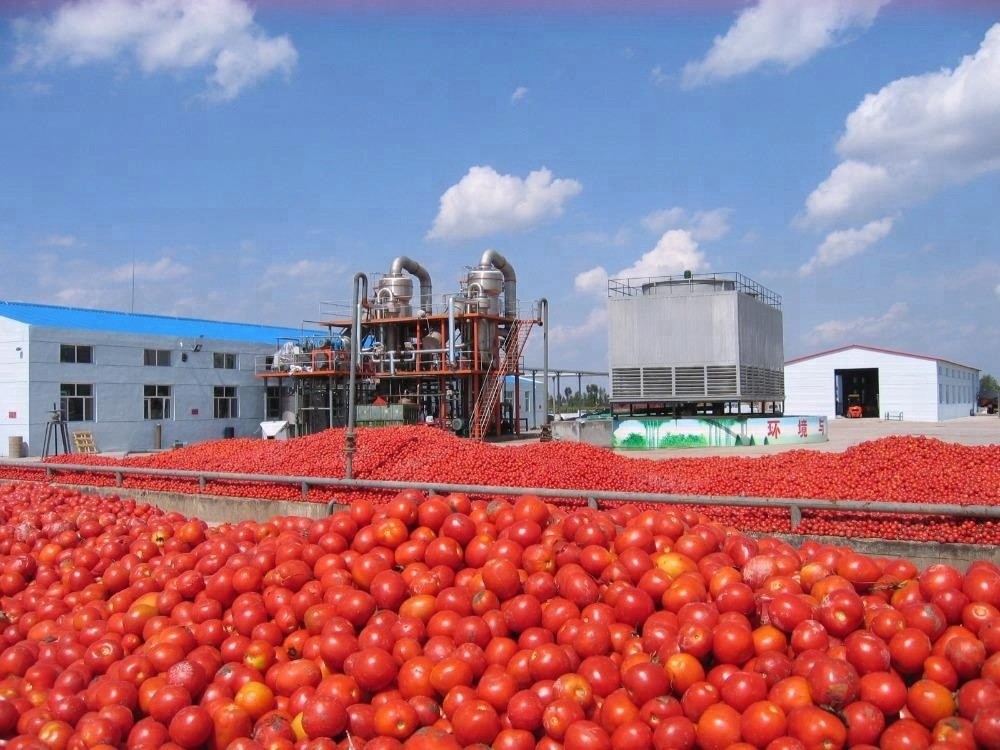 Customized Capacity Fruit Juice Processing Line Fully Automatic Control