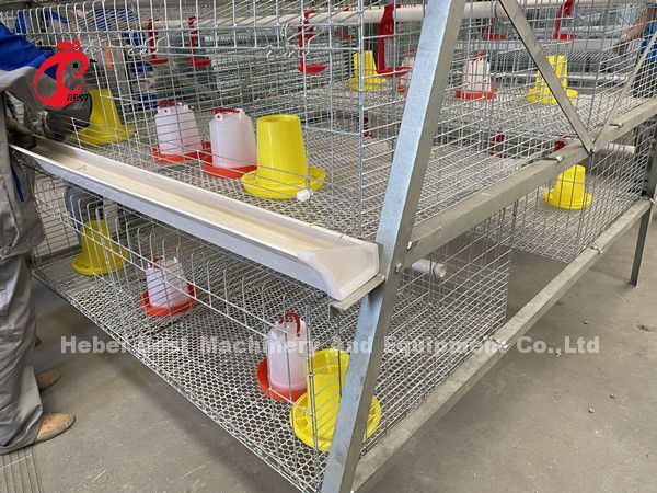 Poultry Farm Broiler Chicken Cage 3 Tiers , A Type Battery Cage For Broilers Doris
