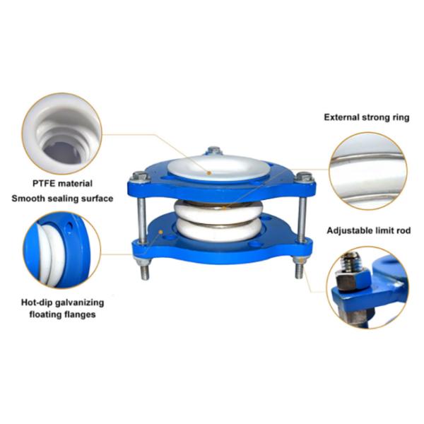 Customized PTFE Bellow Joints Pump Flexible Connector