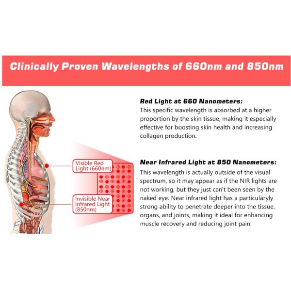 Portable Rechargeable 1000W LED Light Therapy Machine Nir Infrared