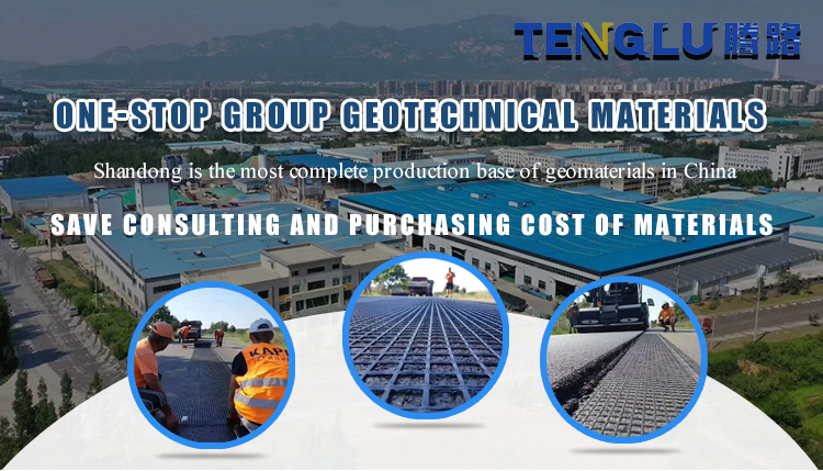 Geogrids for Soil Reinforcement Drive Widening Welding Biaxial Fiberglass Geogrid