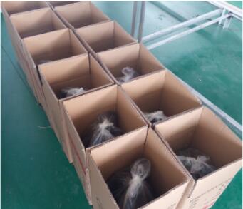 DMX512 14PCS * 8W LED Par 4 In 1 Full Color IP65 Par Lighting For Out Door