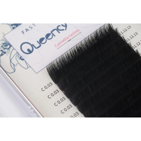 0.03mm Thickness Blooming Lash Extensions , Magnetic 14mm Eyelash Extensions