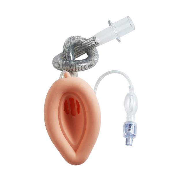 Quality Second Generation Reinforced Laryngeal Mask Airway LMA Protector With Pilot Balloon for sale