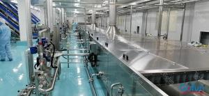 China 10T/H 440V Mango Puree Processing Line Flexible Operation Support wholesale