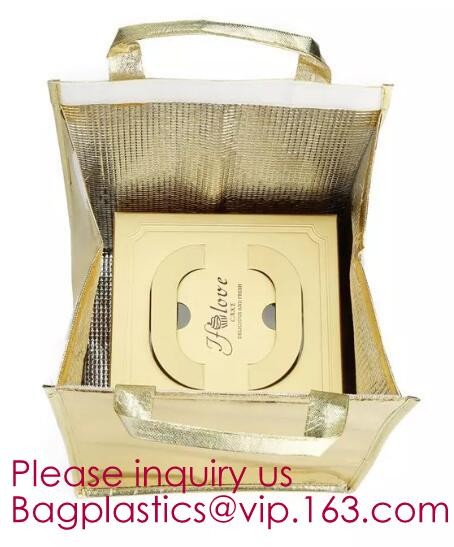 Customized logo printing insulated food delivery cooler bag,wholesale waterproof food delivery thermal bags bagplastics