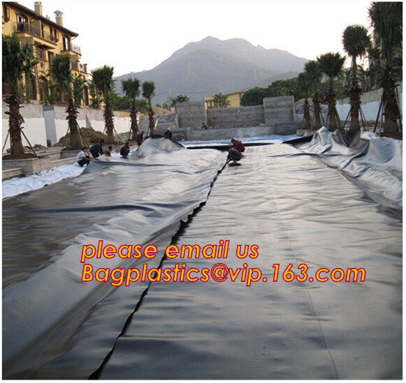 Eco-Friendly Hdpe Geomembrane Liner Geomembrane Price,Eco-Friendly Hdpe Geomembrane Liner Waterproofing Membranes BAGEAS