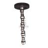 Buy cheap Camshaft 04299275 04293678 04513688 04258750 0429 9275 0429 3678 0451 3688 0425 from wholesalers