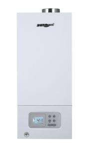 China Wall Mounted Home Gas Boiler High Reliability Multiple Automatic Protections wholesale