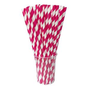 Bar Home Paper Drinking Straws 100% Recycled Eco Friendly Paper Straws
