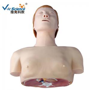China Nature Size Basic Half Body CPR Training Manikins Medical Models For Teaching on sale