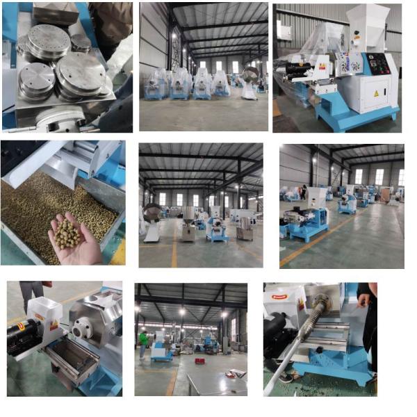 Small Capacity Diesel Pet Floating Fish Feed Extruder Machine