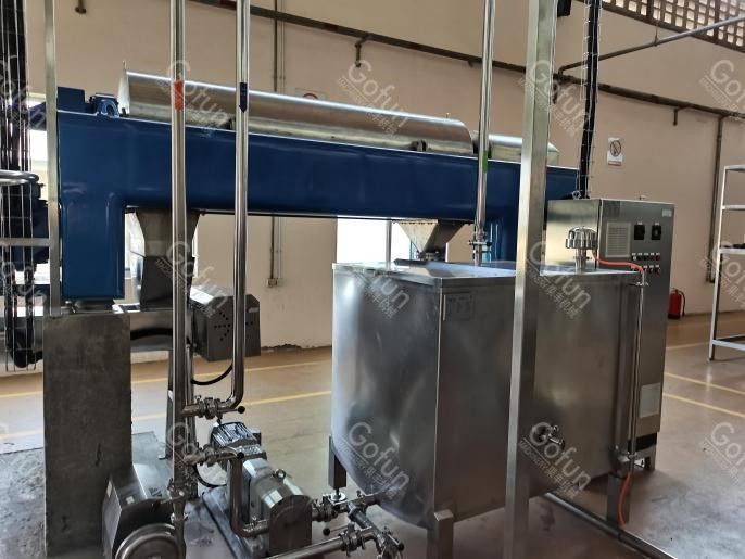 Automatic 10T/H Mango Processing Plant 440V Puree Processing Line