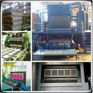 Recycling Heavy Egg Crate Manufacturing Machine For Food Container