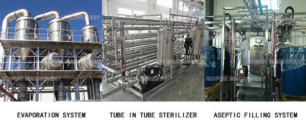 SUS 304 Mango Processing Line 10 T/H Mango Pulp Processing Plant