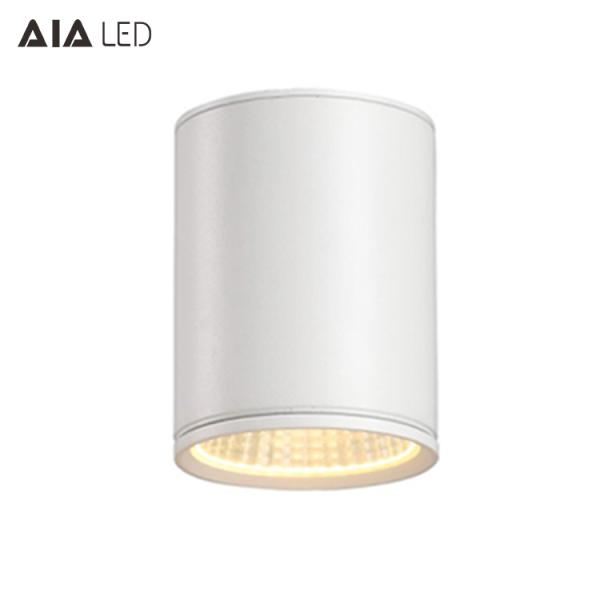 50W led surface mounted downlight & downlight led 50w&outdoor downlight for Villa