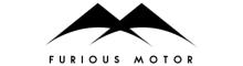 China Dongguan Furious Technology Co., Ltd. logo