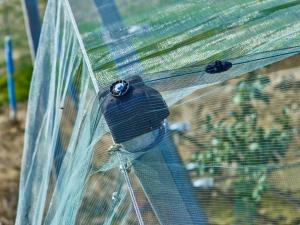 China 100% HDPE 4x50m Insect Mesh Netting For Greenhouse Nursery / Agricultural wholesale