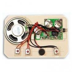 China Light sensor Recordable Sound Module chip for greeting card with ROHS certification wholesale