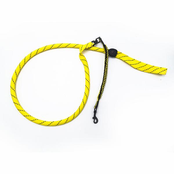 Quality Polyester Webbing LED Light Up Dog Leash Durable 4 Colors Option Customized for sale