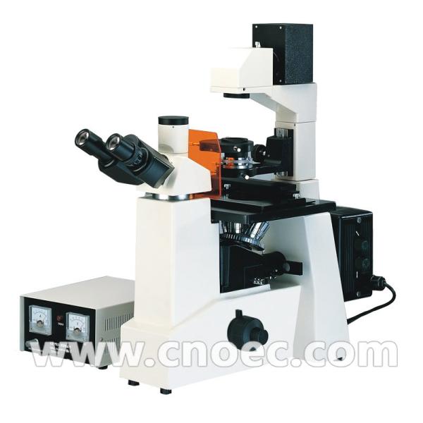 Quality Wide Field Inverted Fluorescence Microscope Trinocular A16.0201 for sale