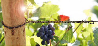 HDPE Agriculture Polyester Wire