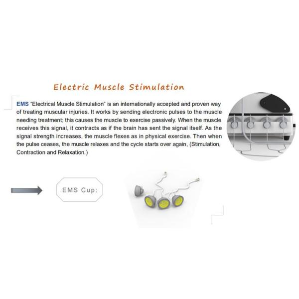 Pain Therapy Physio Shockwave System Ems Muscle Stimulator