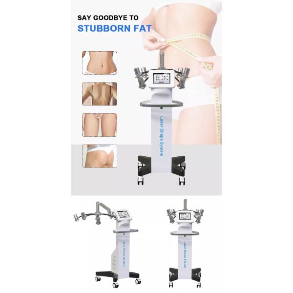 532nm 6D Fat Burning Laser Therapy Machine Non Invasive Non Side Effect