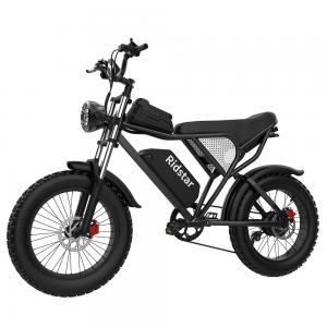 48V 1000W 20Ah 20 X4.0 Fat Tire Electric Mountain Bike With Removable Battery
