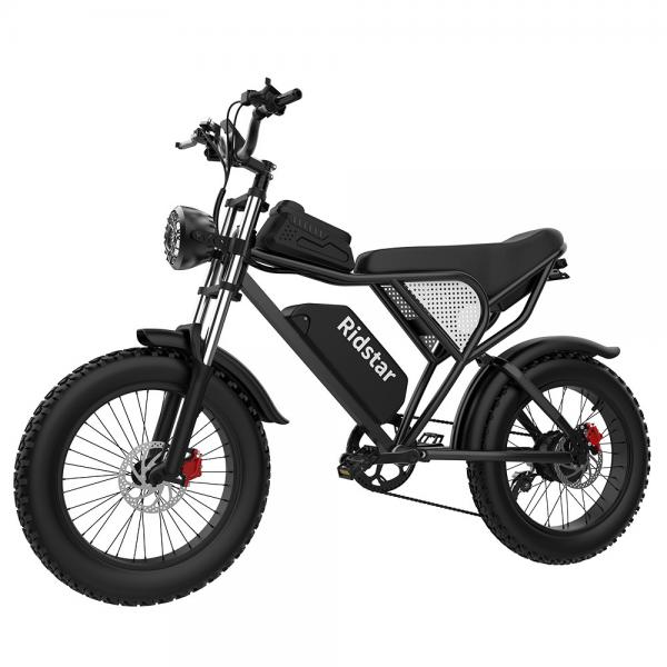 Quality 48V 1000W 20Ah 20" X4.0 Fat Tire Electric Mountain Bike With Removable Battery for sale