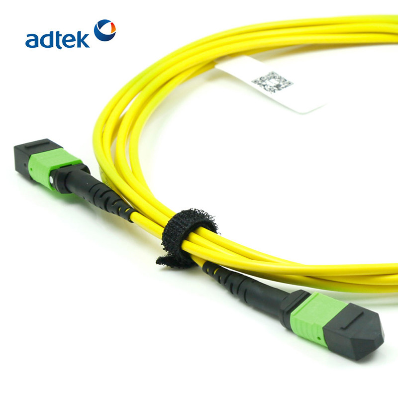 10G 40G MTP To MTP OM4 Fiber Patch Cord Singlemode / Multimode Simplex
