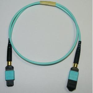 China Plenum Jacket Female MTP MPO Fiber Elite Cable Assembly wholesale