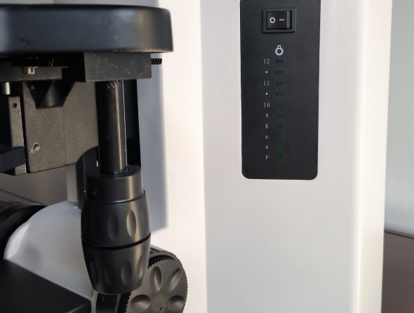 Research Grade Upright Microscope B80