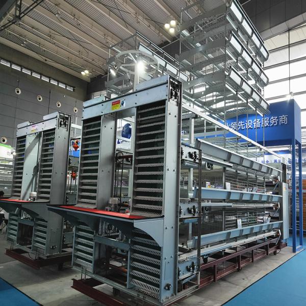 Quality Q235 Bridge Steel Poultry Egg Collection System ISO9001 SONCAP Listed for sale