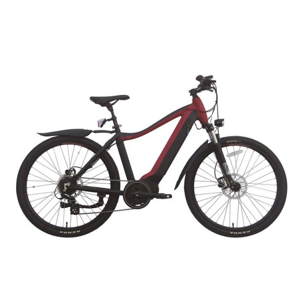Quality 350w Portable Folding Electric Bike Hub Motor E Bike With Removable Battery 36V 10Ah for sale