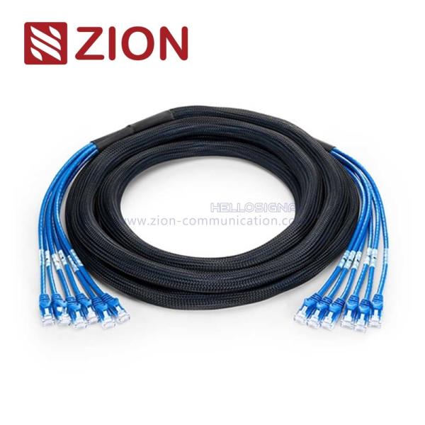 Quality Cat 5e UTP Plug to Plug Trunk Cables for sale