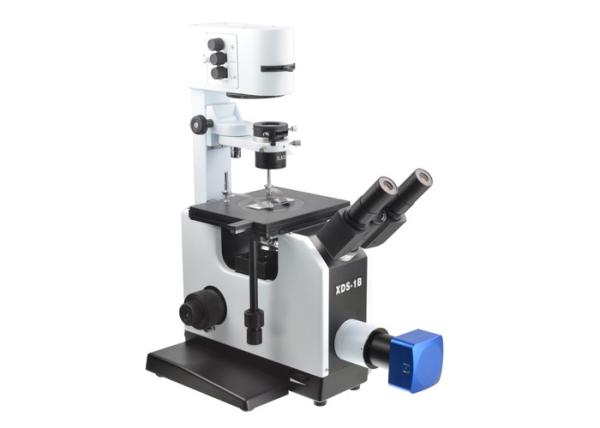 Quality Education Inverted Optical Microscope / 25X Inverted Phase Contrast Microscopy for sale